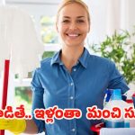 Cleaning Tips: ఇంటిని ఇలా శుభ్రం చేస్తే.. సువాసన వెదజల్లుతుంది !