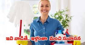 Indian's Non Stop Train: ఎక్కడా ఆగని నాన్ స్టాప్ ట్రైన్.. ఎక్కడ నుంచి ఎక్కడికి వెళ్తోందో తెలుసా?