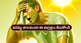 Sunstroke: వేసవిలో వడదెబ్బ తగలకుండా ఉండాలంటే ఈ జాగ్రత్తలు తీసుకోండి