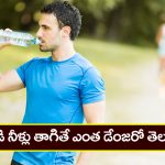 Drinking Water: నిలబడి నీళ్లు తాగుతున్నారా..? అయితే మీ ఆరోగ్యం డేంజర్ లో పడ్డట్టే