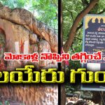 Tirumala : మోకాళ్ల నొప్పులా..? తిరుమలలోని ఈ అద్బుతం గురించి తెలుసుకోవాల్సిందే..!