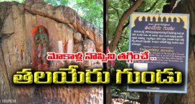 Tirumala : మోకాళ్ల నొప్పులా..? తిరుమలలోని ఈ అద్బుతం గురించి తెలుసుకోవాల్సిందే..!