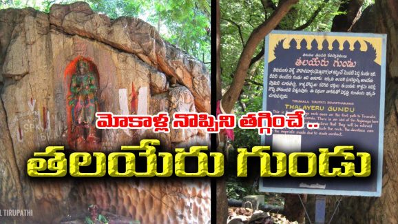 Tirumala : మోకాళ్ల నొప్పులా..? తిరుమలలోని ఈ అద్బుతం గురించి తెలుసుకోవాల్సిందే..!