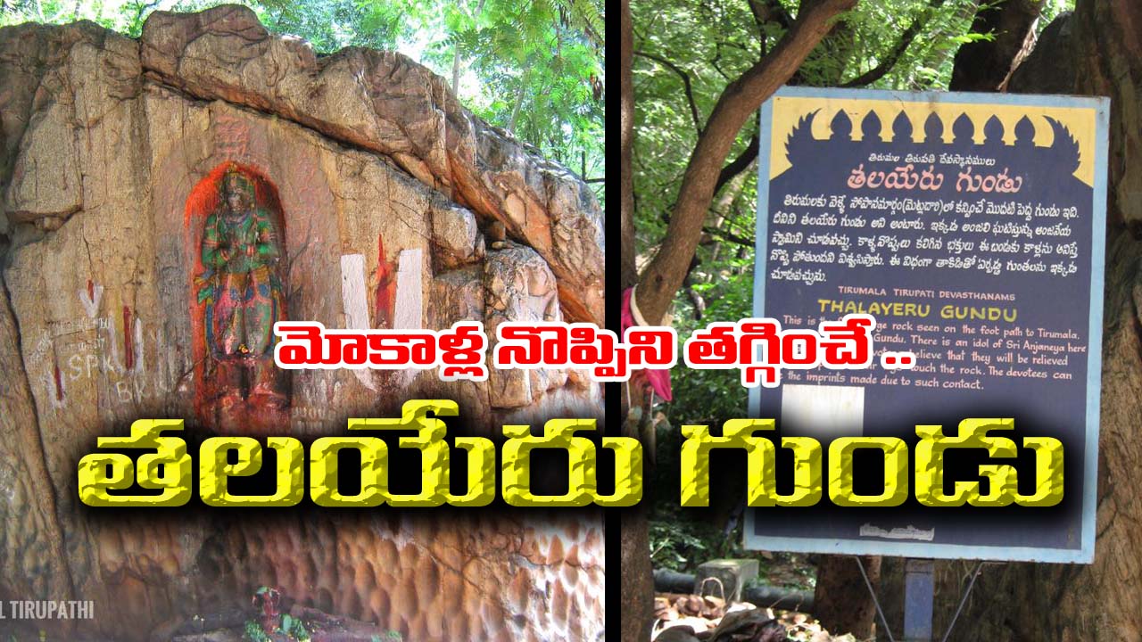 Tirumala : మోకాళ్ల నొప్పులా..? తిరుమలలోని ఈ అద్బుతం గురించి తెలుసుకోవాల్సిందే..!