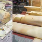 Heart of Coconut stem: కొబ్బరి చెట్టు కాండాన్ని కూడా తినొచ్చు.. దీని వల్ల ఎన్ని ప్రయోజనాలో తెలుసా?