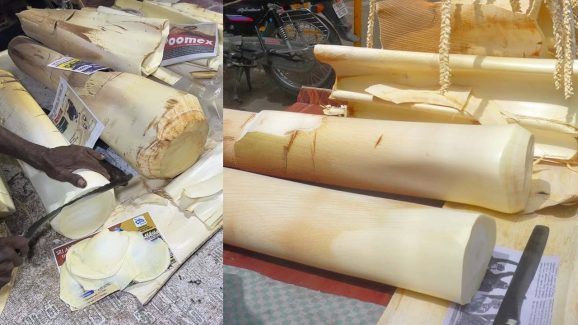 Heart of Coconut stem: కొబ్బరి చెట్టు కాండాన్ని కూడా తినొచ్చు.. దీని వల్ల ఎన్ని ప్రయోజనాలో తెలుసా?