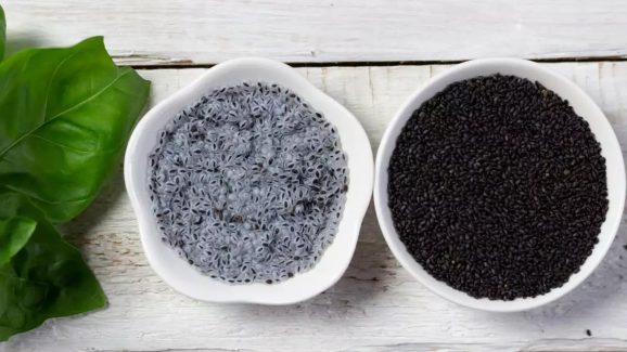 Chia Seeds vs Sabja Seeds: చియా సీడ్స్ vs సబ్జా సీడ్స్- ఆరోగ్యానికి ఏది బెస్ట్..?
