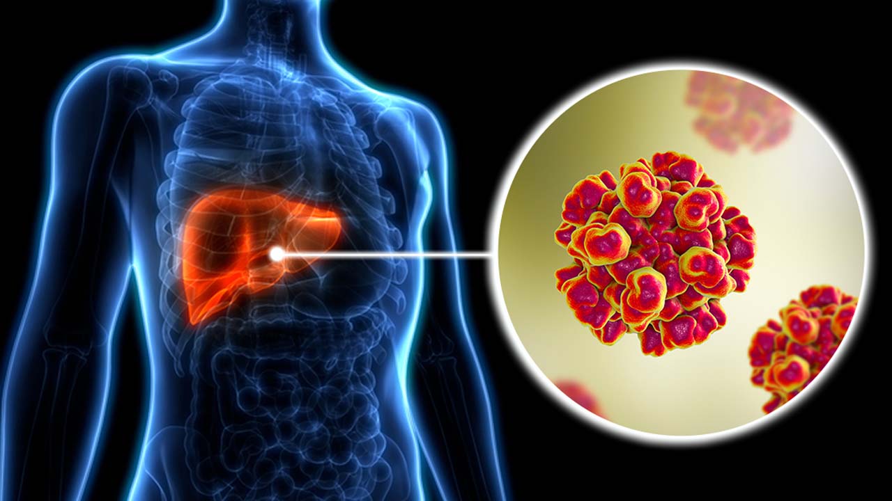 Hepatitis: హెపటైటిస్ రిస్క్ నుంచి కాపాడుకోవడానికి ఇలా చేయండి..