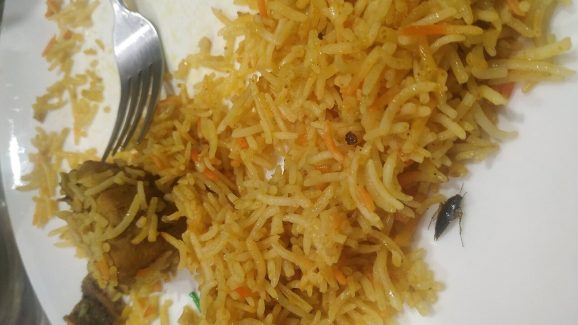 Cockroach in Biryani: బిర్యానీలో బొద్దింక.. ప్రశ్నిస్తే దబాయించిన సిబ్బంది
