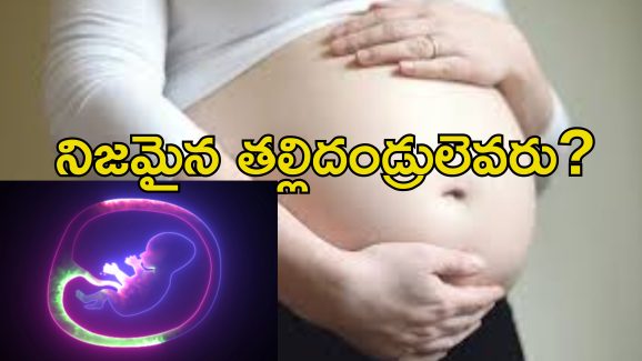 Wrong Baby In Woman Womb: మహిళ గర్భంలో మరో యువతి బిడ్డ.. ఐవిఎఫ్ డాక్టర్ల తప్పిదం.. వందల కోట్లలో నష్టపరిహారం