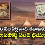 Egyptian Mummy: ప్రపంచంలో పాస్ పోర్ట్ ఉన్న ఏకైక మమ్మీ, 3000 ఏళ్ల రామ్సెస్ 2 గురించి మీకు తెలుసా?