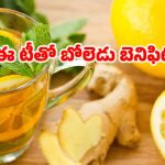 Lemon Peel Tea: ఈ టీ తాగితే.. వ్యాధులు రమ్మన్నా రావు తెలుసా ?