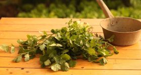 Coriander: కొత్తిమీర తినడానికి ఇష్టపడడం లేదా.. అయితే హార్ట్ రిస్క్‌లో పడ్డట్టే..!