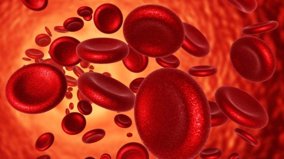 Anemia: ఎనీమియాతో ఇబ్బంది పడుతున్నారా? ఈ ఫుడ్స్‌ని డైట్‌లో యాడ్ చేసి చూడండి..
