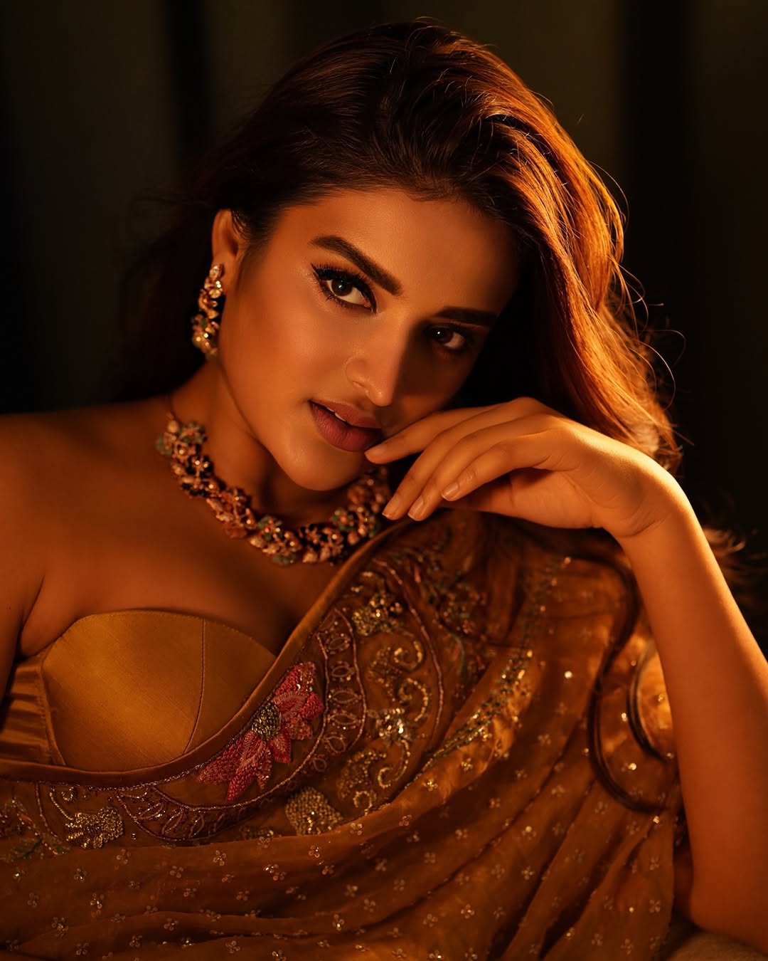 Nidhi Agarwal Photo Gallery