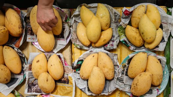 Mango: ఈ విషయాలు తెలుసుకోకుండా మామిడి పండ్లు కొంటే పప్పులో కాలేసినట్టే..!