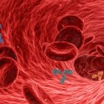 Anemia: ఎనీమియా ఎందుకు వస్తుంది..? అసలు దీని లక్షణాలు ఎలా ఉంటాయంటే