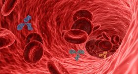 Anemia: ఎనీమియా ఎందుకు వస్తుంది..? అసలు దీని లక్షణాలు ఎలా ఉంటాయంటే