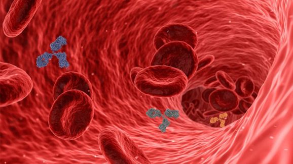 Anemia: ఎనీమియా ఎందుకు వస్తుంది..? అసలు దీని లక్షణాలు ఎలా ఉంటాయంటే