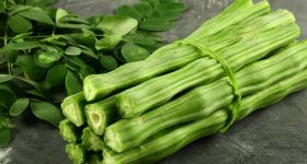 Drumsticks Benefits: మునగతో మాములుగా ఉండదు మరి..! ఎన్ని లాభాలో చూశారా..?