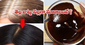 Tirumala Goshala: ఆఖరికి ఆవులపై కూడా అబద్ధాలేనా..?