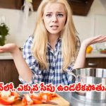 Summer Kitchen Tips: ఉక్కపోత వల్ల కిచెన్‌లో.. వంట చేయడానికి ఇబ్బంది పడుతున్నారా ?