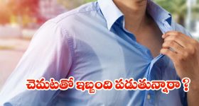 Heroine Amani : డిప్రెషన్ లోకి వెళ్లిన భర్త.. కన్నీళ్లు తెప్పిస్తున్న ఆమని స్టోరీ..