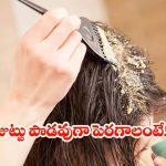 Multani Mitti For Hair: ముల్తానీ మిట్టిలో ఈ 2 కలిపి వాడితే.. రెట్టింపు వేగంతో జుట్టు పెరుగుతుంది తెలుసా ?