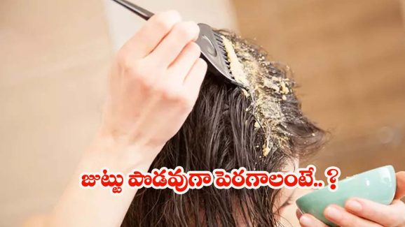 Multani Mitti For Hair: ముల్తానీ మిట్టిలో ఈ 2 కలిపి వాడితే.. రెట్టింపు వేగంతో జుట్టు పెరుగుతుంది తెలుసా ?