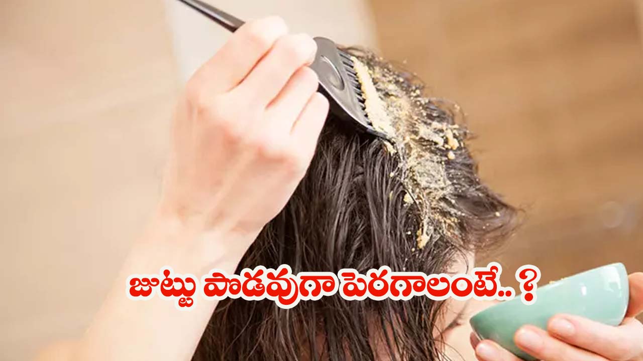 Multani Mitti For Hair: ముల్తానీ మిట్టిలో ఈ 2 కలిపి వాడితే.. రెట్టింపు వేగంతో జుట్టు పెరుగుతుంది తెలుసా ?