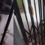 Lift Accident: లిఫ్ట్‌ మీద పడి డాక్టర్ మృతి