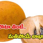 Sapota Benefits: సపోటా తింటే.. శరీరంలో జరిగే మార్పులు ఇవే !
