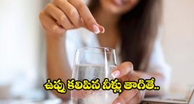 Salt Water: చిటికెడు ఉప్పు కలిపిన నీళ్లు తాగితే.. ఇన్ని ప్రయోజనాలా ?