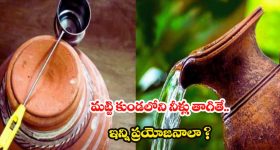 Tirumala Alipiri steps: తిరుమల వెళ్తున్నారా..? మెట్ల మార్గంలో దర్శనానికి వెళితే ఈ తప్పు అసలు చేయకండి
