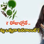 Neem Spay For Hair Growth: 7 రోజుల్లోనే జుట్టు ఒత్తుగా, పొడుగ్గా పెరగాలంటే ? ఈ ఆయుర్వేద చిట్కా ట్రై చేయండి