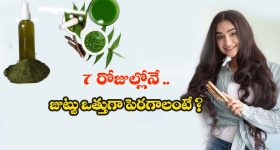 Neem Spay For Hair Growth: 7 రోజుల్లోనే జుట్టు ఒత్తుగా, పొడుగ్గా పెరగాలంటే ? ఈ ఆయుర్వేద చిట్కా ట్రై చేయండి