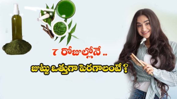 Neem Spay For Hair Growth: 7 రోజుల్లోనే జుట్టు ఒత్తుగా, పొడుగ్గా పెరగాలంటే ? ఈ ఆయుర్వేద చిట్కా ట్రై చేయండి
