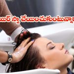 Hair Spa: హెయిర్ స్పా చేయించుకుంటే.. ఇన్ని నష్టాలా ?