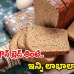 Brown Bread: బ్రౌన్ బ్రెడ్ తింటున్నారా ? అయితే.. ఈ విషయాలు తప్పక తెలుసుకోండి