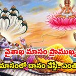 Vaisakha Masam 2025: వైశాఖ మాసం ప్రాముఖ్యత, ఈ సమయంలో దానం చేయడం వల్ల కలిగే పుణ్య ఫలాలు !