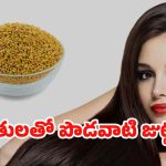 Fenugreek Seeds For Hair: మెంతుల్లో ఈ ఒక్కటి కలిపి వాడితే.. జుట్టు ఊడమన్నా ఊడదు