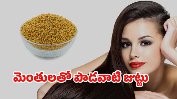Fenugreek Seeds For Hair: మెంతుల్లో ఈ ఒక్కటి కలిపి వాడితే.. జుట్టు ఊడమన్నా ఊడదు