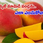 Buying Mango: రసాయనాలతో.. పండించిన మామిడి పండ్లను ఎలా గుర్తించాలి ?
