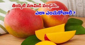 Ketika Sharma : స్టైలిష్ లుక్ లో కేతిక సర్ ప్రైజ్ కెవ్వు కేక.. ఏముంది మామా...