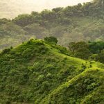 Ananthagiri Hills: సిటీ నుంచి జస్ట్ 2 గంటలే జర్నీ.. అనంతగిరి అందాలు చూసొద్దామా..?