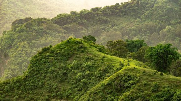 Ananthagiri Hills: సిటీ నుంచి జస్ట్ 2 గంటలే జర్నీ.. అనంతగిరి అందాలు చూసొద్దామా..?