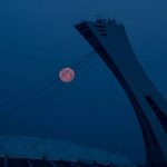 Pink Moon 2025: పింక్ మూన్ చూడాలనుందా..? కాసేపట్లో పైకి చూడండి