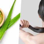 Aloe Vera For Hair: సమ్మర్‌లో ప్రతి ఒక్కరూ తప్పకుండా వాడాల్సిన హెయిర్ మాస్క్ ఇదే !
