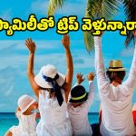 Summer Travel Tips: సమ్మర్‌లో ఫ్యామిలీతో ట్రిప్‌కి వెళ్తున్నారా ? ఈ విషయాలు తప్పకుండా గుర్తుంచుకోండి