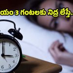Wake Up at 3 Am: ఉదయం 3 గంటలకు నిద్ర లేస్తున్నారా ? జాగ్రత్త